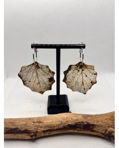 EDICIÓN LIMITADA pendientes de hoja natural esqueletizada