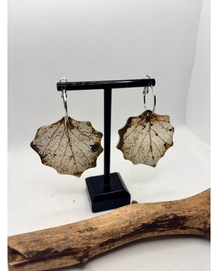 EDICIÓN LIMITADA pendientes de hoja natural esqueletizada