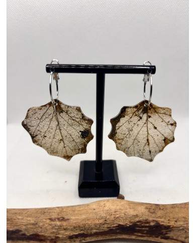 EDICIÓN LIMITADA pendientes de hoja natural esqueletizada