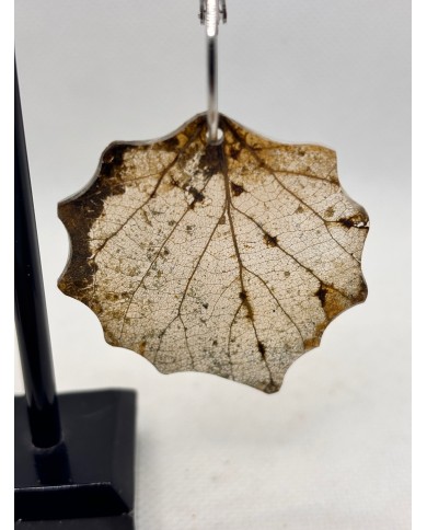EDICIÓN LIMITADA pendientes de hoja natural esqueletizada