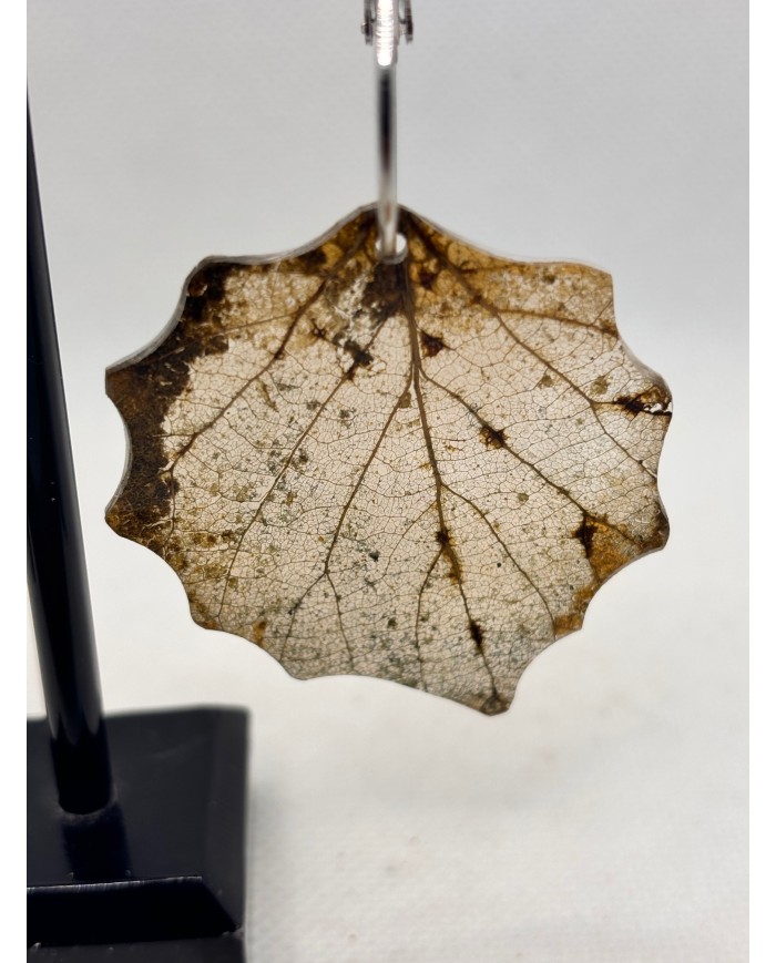 EDICIÓN LIMITADA pendientes de hoja natural esqueletizada