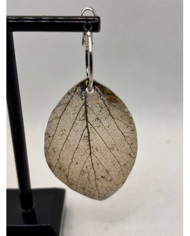 EDICIÓN LIMITADA pendientes de hoja natural esqueletizada