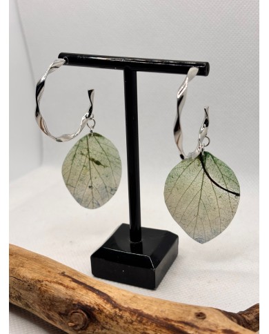 EDICIÓN LIMITADA pendientes de hoja natural