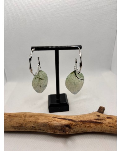EDICIÓN LIMITADA pendientes de hoja natural
