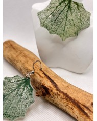 EDICIÓN LIMITADA pendientes de hoja natural esqueletizada