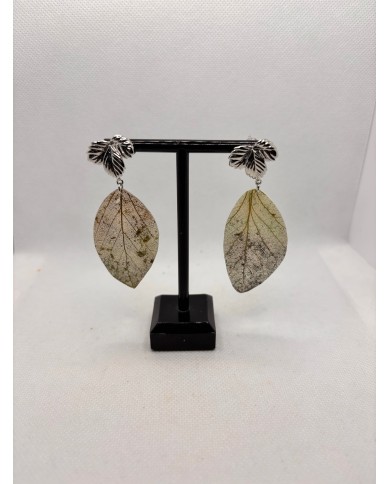 EDICIÓN LIMITADA pendientes de hoja natural