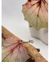 EDICIÓN LIMITADA pendientes artesanos de hoja natural