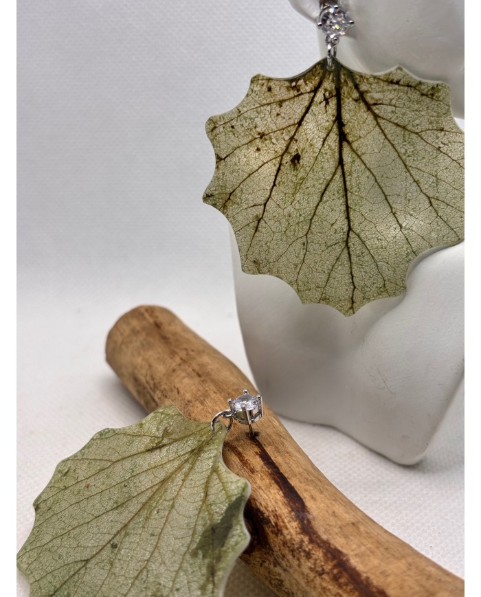 EDICIÓN LIMITADA  pendientes de hoja natural esqueletizada