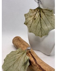 EDICIÓN LIMITADA  pendientes de hoja natural esqueletizada