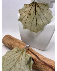 EDICIÓN LIMITADA  pendientes de hoja natural esqueletizada