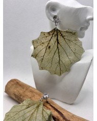 EDICIÓN LIMITADA  pendientes de hoja natural esqueletizada
