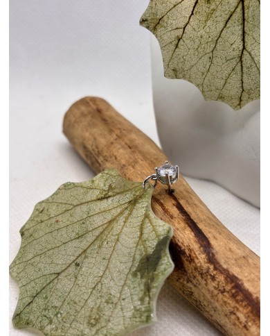 EDICIÓN LIMITADA  pendientes de hoja natural esqueletizada