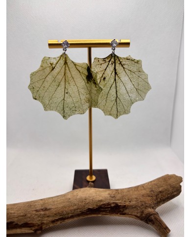 EDICIÓN LIMITADA  pendientes de hoja natural esqueletizada