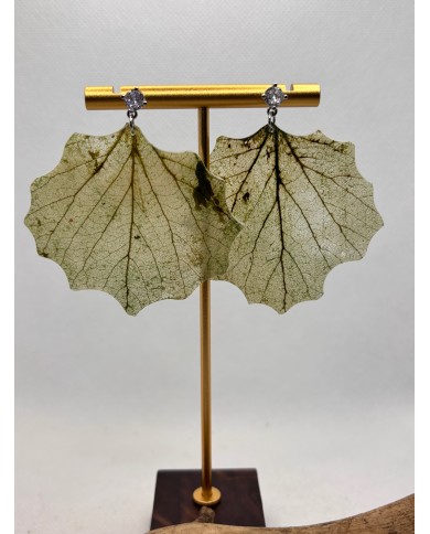 EDICIÓN LIMITADA  pendientes de hoja natural esqueletizada