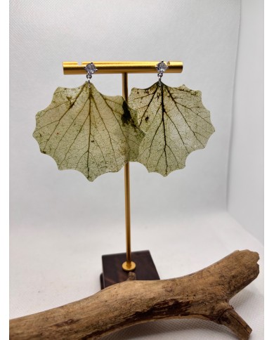 EDICIÓN LIMITADA  pendientes de hoja natural esqueletizada