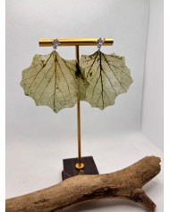 EDICIÓN LIMITADA  pendientes de hoja natural esqueletizada