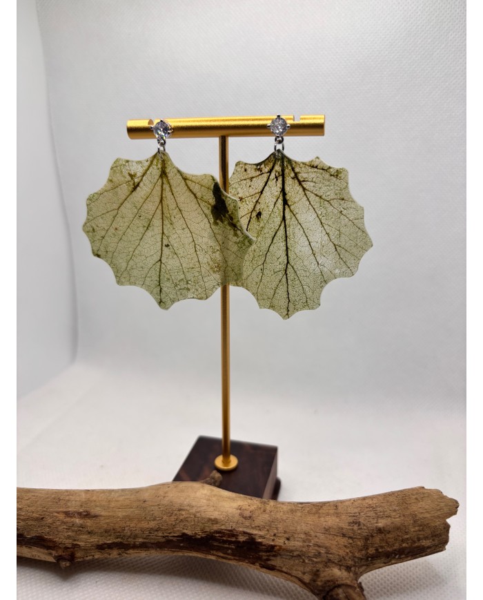 EDICIÓN LIMITADA  pendientes de hoja natural esqueletizada