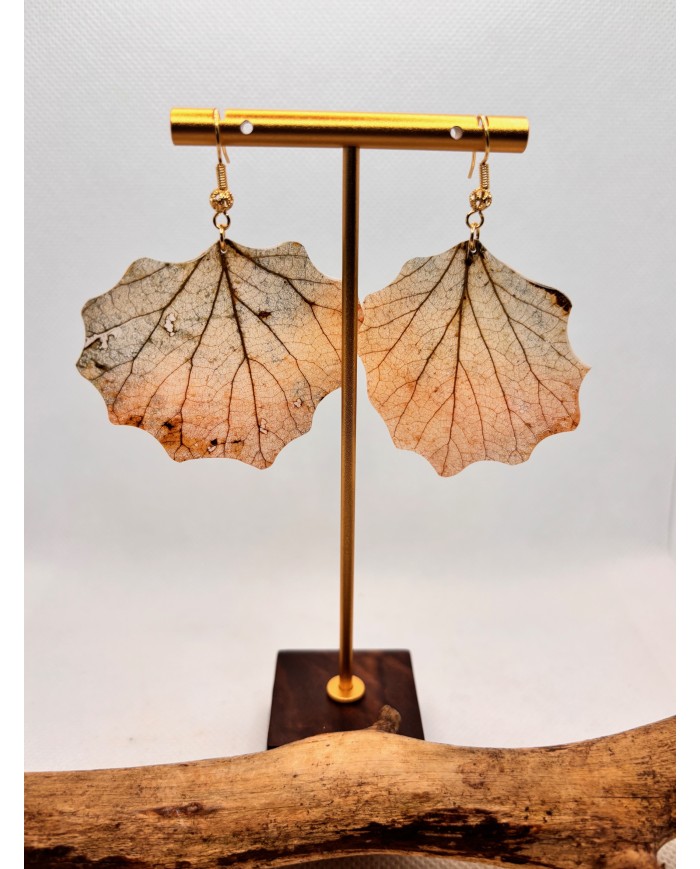 EDICIÓN LIMITADA pendientes de hoja natural esqueletizada