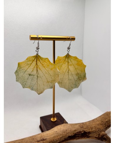 PENDIENTES ARTESANOS DE HOJA NATURAL ESQUELETIZADA