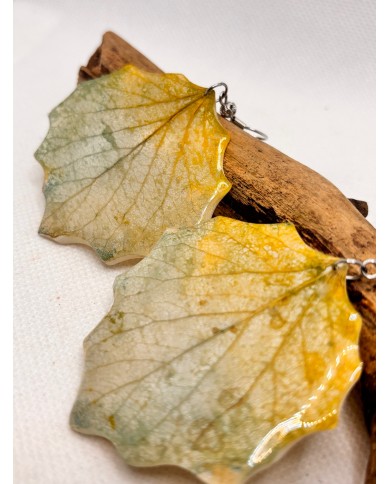 PENDIENTES ARTESANOS DE HOJA NATURAL ESQUELETIZADA