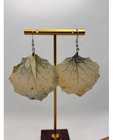 PENDIENTES ARTESANOS DE HOJA  NATURAL ESQUELETIZADA