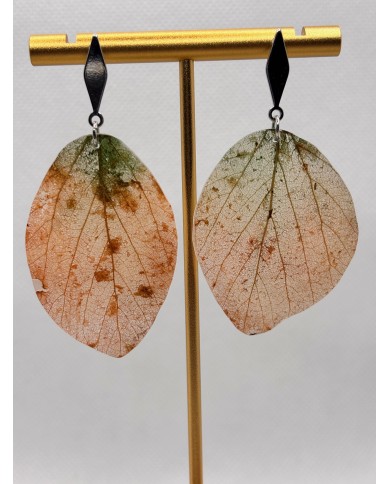 EDICIÓN LIMITADA pendientes artesanos de hoja natural esqueletizada