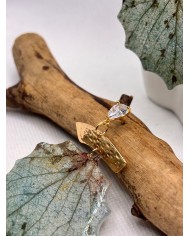 EDICIÓN LIMITADA pendientes de hoja natural esqueletizada