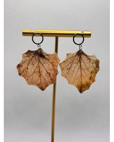 EDICIÓN LIMITADA pendientes de álamo natural artesanos