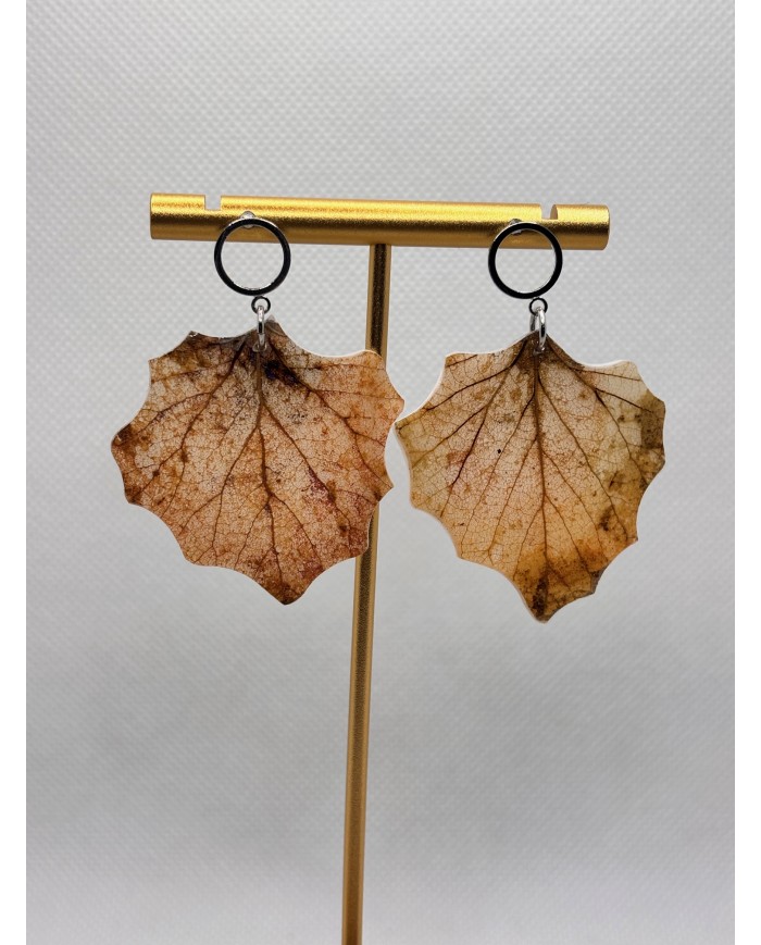 EDICIÓN LIMITADA pendientes de álamo natural artesanos