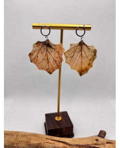 EDICIÓN LIMITADA pendientes de álamo natural artesanos