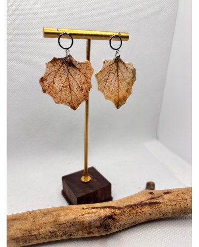 EDICIÓN LIMITADA pendientes de álamo natural artesanos