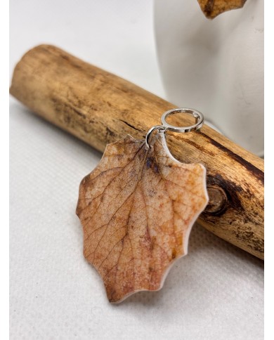 EDICIÓN LIMITADA pendientes de álamo natural artesanos