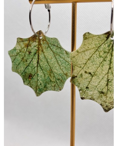 EDICIÓN LIMITADA pendientes artesanos de hoja natural