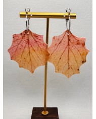 EDICIÓN LIMITADA pendientes de hoja natural esqueletizada