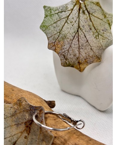 EDICIÓN LIMITADA pendientes artesanos de hoja natural