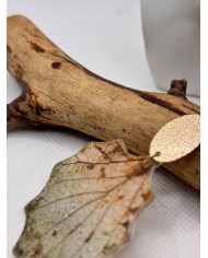 EDICIÓN LIMITADA pendientes artesanos de hoja natural