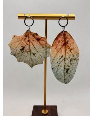 EDICIÓN LIMITADA pendientes de hoja natural esqueletizada