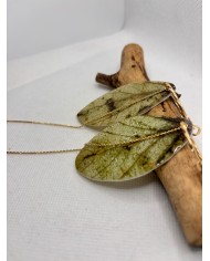 EDICIÓN LIMITADA pendientes artesanos de hoja natural esqueletizada