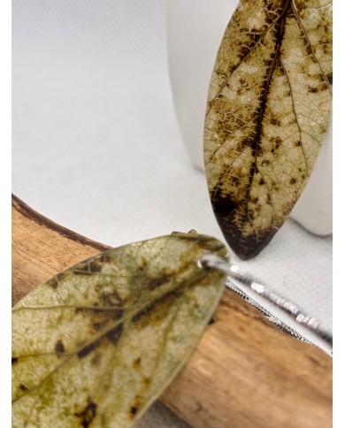 EDICIÓN LIMITADA pendientes artesanos de hoja natural