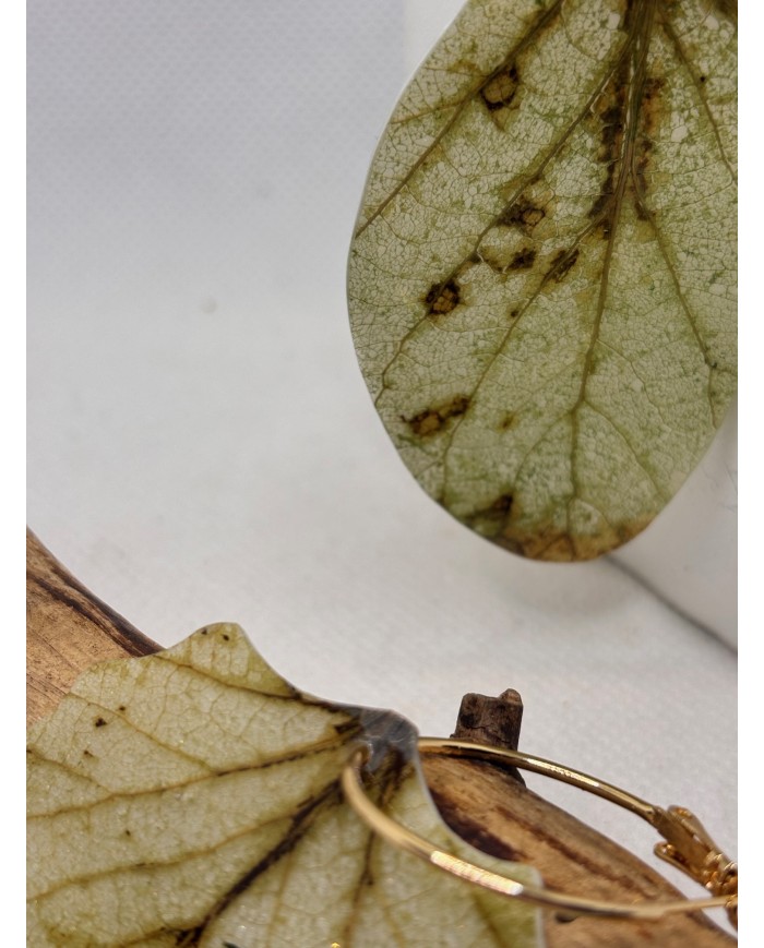 EDICIÓN LIMITADA PENDIENTES ARTESANOS DE HOJA NATURAL