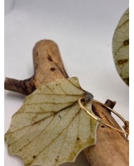 EDICIÓN LIMITADA PENDIENTES ARTESANOS DE HOJA NATURAL