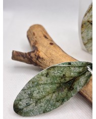 EDICIÓN LIMITADA pendientes artesanos de hoja natural