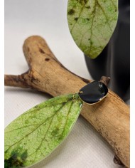 PENDIENTES ARTESANOS DE HOJA NATURAL ESQUELETIZADA