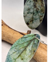 PENDIENTES ARTESANOS DE HOJA NATURAL ESQUELETIZADA