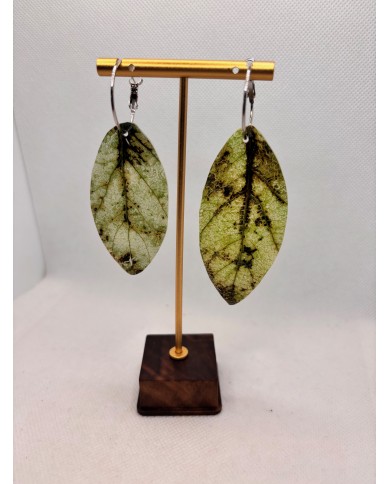 PENDIENTES ARTESANOS DE  HOJA NATURAL ESQUELETIZADA