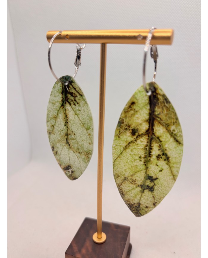 PENDIENTES ARTESANOS DE  HOJA NATURAL ESQUELETIZADA