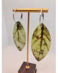 PENDIENTES ARTESANOS DE  HOJA NATURAL ESQUELETIZADA