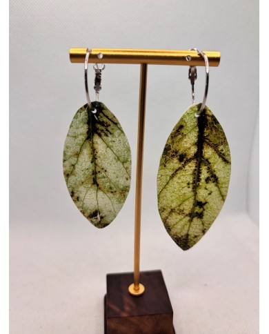 PENDIENTES ARTESANOS DE  HOJA NATURAL ESQUELETIZADA