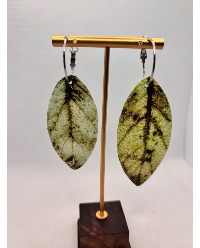 PENDIENTES ARTESANOS DE  HOJA NATURAL ESQUELETIZADA