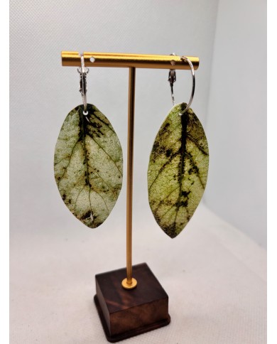 PENDIENTES ARTESANOS DE  HOJA NATURAL ESQUELETIZADA